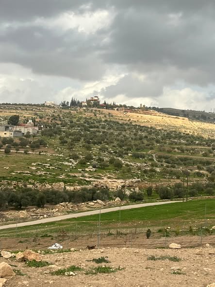 فرصة استثمار وسكن لا تعوض في جرش - عنيبة - 2