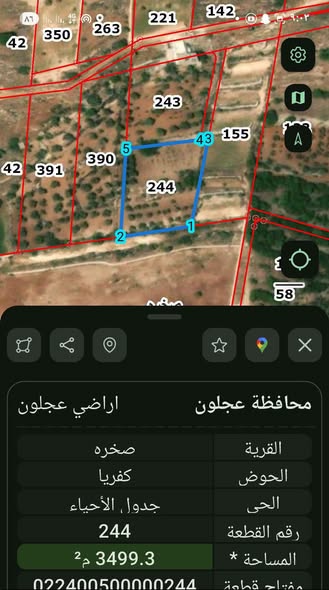 فرصة استثمارية: مزرعة 3.5 دونم في عجلون