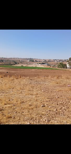 فرصة استثمارية: أرض سكنية مميزة في بلعما - 2