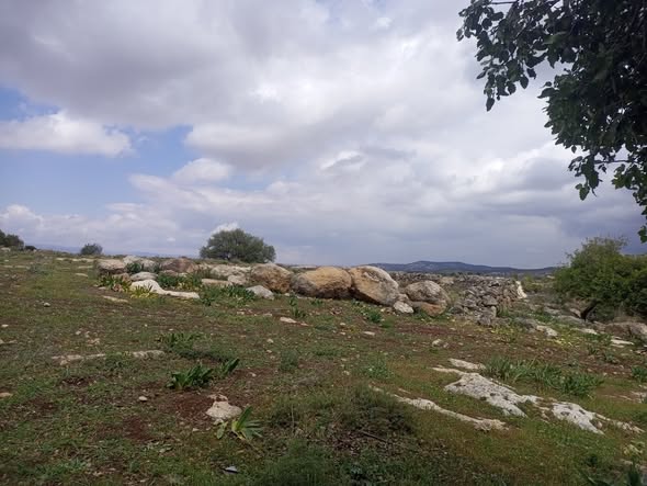 ثلاث دونمات ونصف للبيع في السلط - جلعد - 2