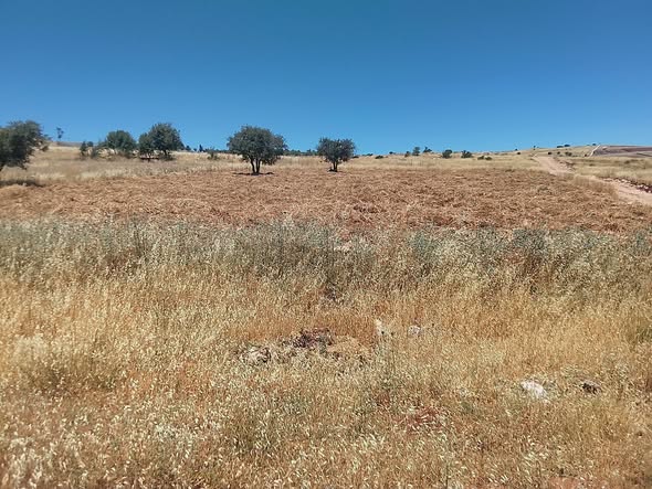 فرصة استثمارية: أرض 3600م في عجلون - 3