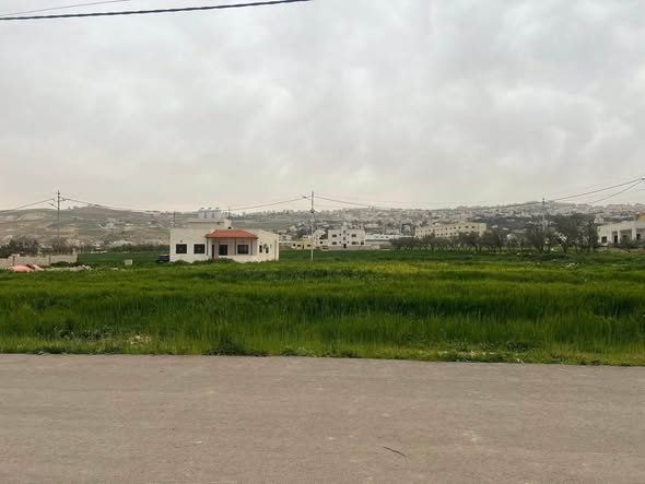 أرض للبيع في أبو نصير – فرصة استثمارية بسعر مغري