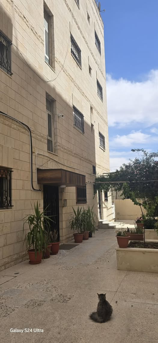 عمارة استثمارية مجددة بالكامل في ضاحية الأمير حسن