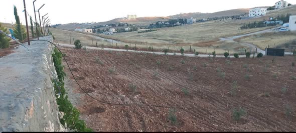 مزرعة استثمارية مميزة في بلعما - فرصة لا تعوض - 3