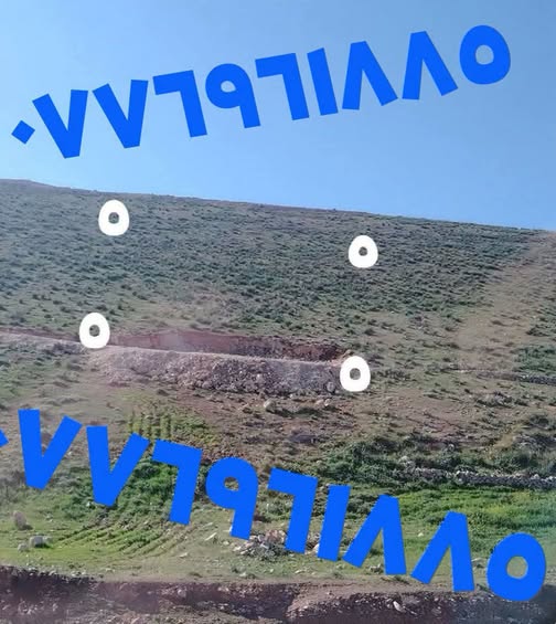 فرصة استثمارية ذهبية: أرض زراعية واسعة في المفرق