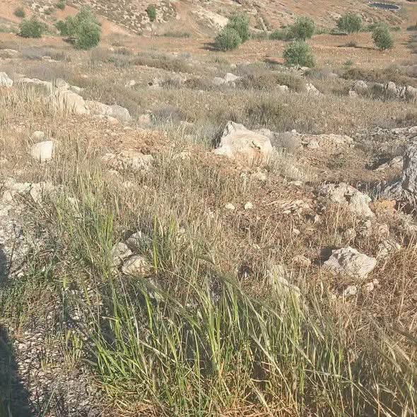 أرض استثمارية مميزة في خطله بإطلالة ساحرة - 2