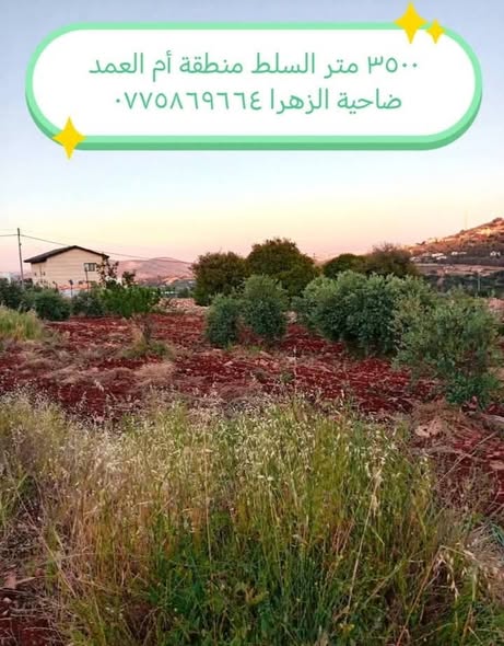 قطع أراضي زراعية استثمارية للبيع في السلط - 4