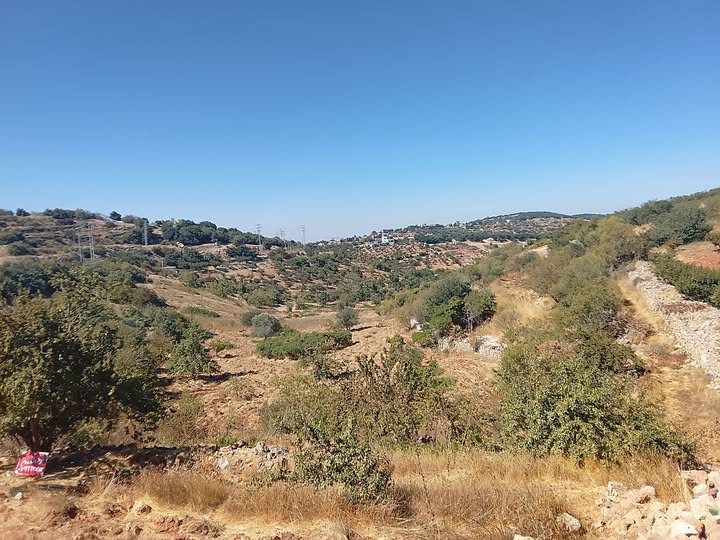 أرض استثمارية للبيع في عجلون - عين جنا