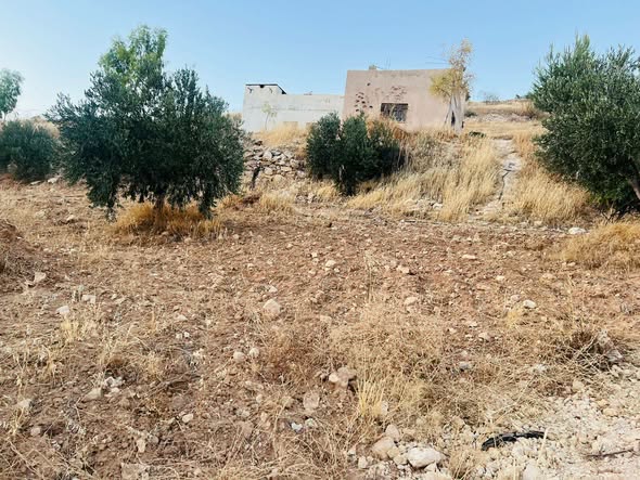 أرض مميزة مع بيت ريفي في صروت - 3