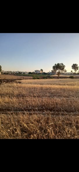 قطعة أرض سكنية استثمارية للبيع في بلعما - 4