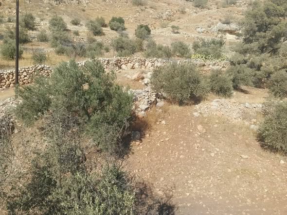 مزرعة استثمارية فاخرة للبيع في السلط، عيرا - 4