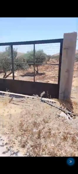 مزرعة جاهزة للبيع في ماعين - مادبا