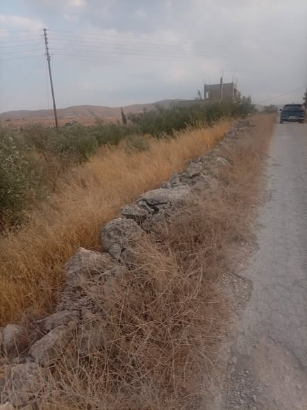 قطعة أرض للبيع في بيرين صروت - 2
