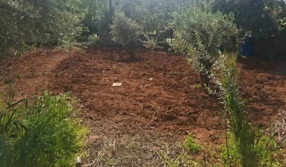 بيت مستقل فاخر في الصبيحي - 3
