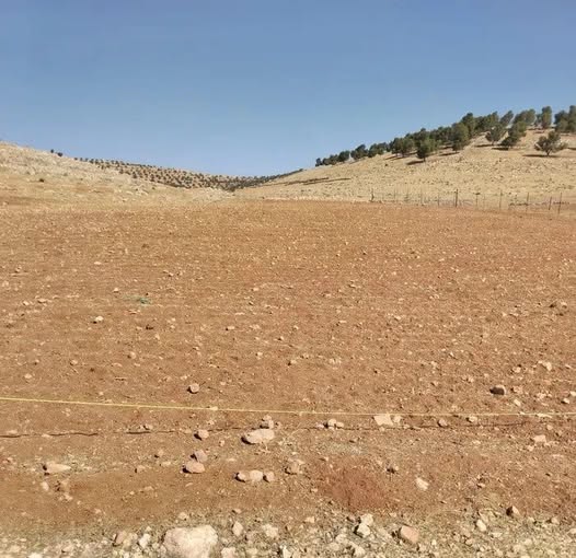 أرض زراعية للبيع في المفرق - بلعما 3400م