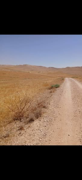أرض زراعية للبيع في بلعما بمساحة 3.5 دونم - 5
