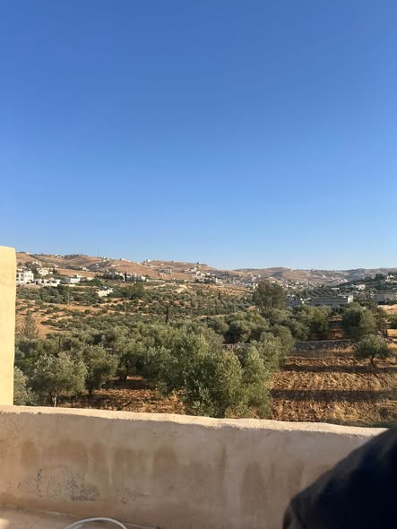 فرصة استثمارية ذهبية: أرض زيتون مع بيت في بيرين - 3