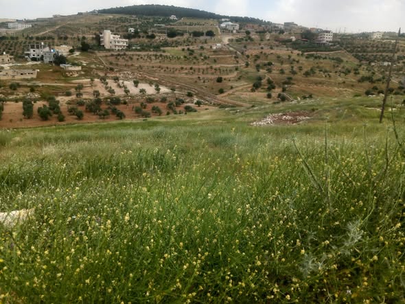 أرض مميزة للبيع في جرش – موقع استراتيجي وإطلالة رائعة - 2