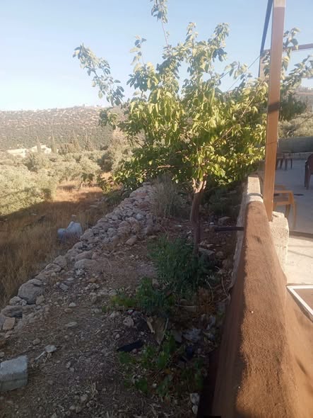 بيت مستقل للبيع في السلط مع أرض واسعة وإطلالة رائعة - 4