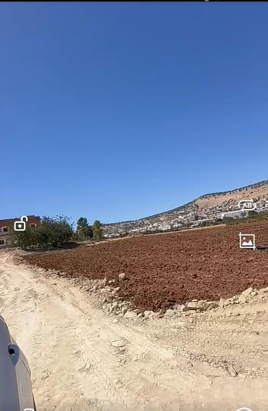 فرصة استثمارية: أرض زراعية في عين الباشا