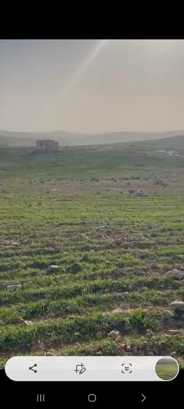 أرض مرتفعة للبيع في حيان المشرف - 2