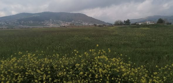 أرض للبيع في ابو نصير مساحة 525م