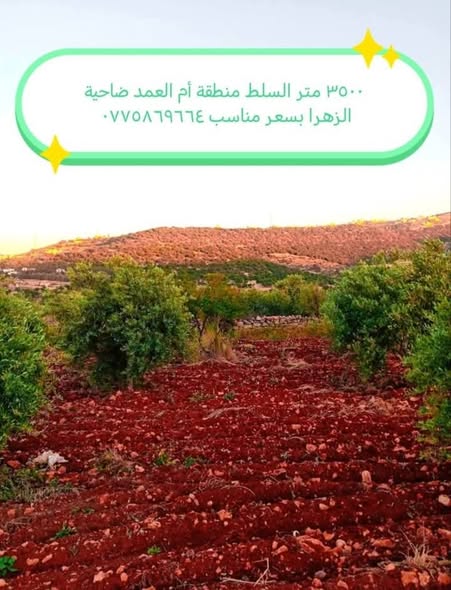 قطع أراضي زراعية استثمارية للبيع في السلط - 3