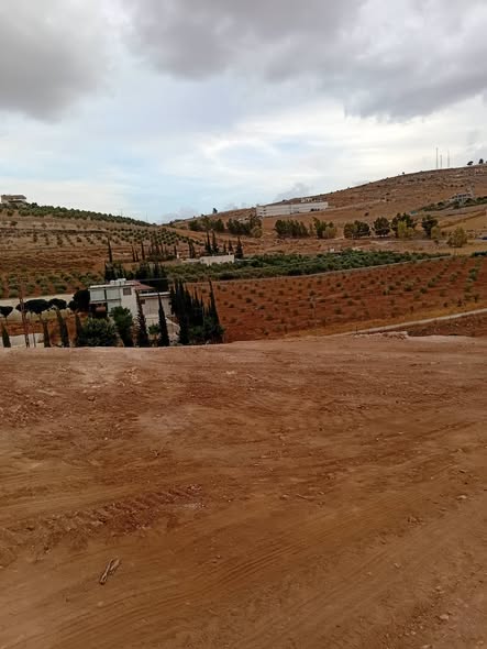 فرصة استثمارية: أرض مميزة للبيع في دحل - 3