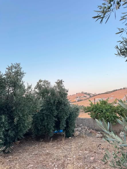أرض سكنية فاخرة في مدينة السرو الجديدة - فرصة استثمارية لا تعوض - 4