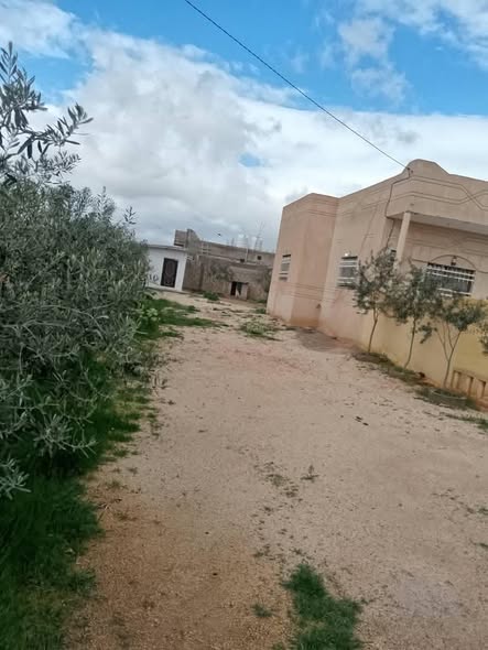 فرصة ذهبية: بيت مستقل للبيع في المفرق بمساحة واسعة - 5