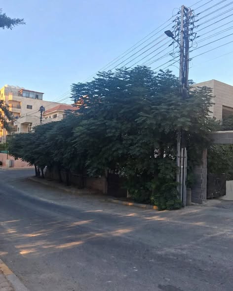 عمارة استثمارية للبيع في صويلح - 365 ألف دينار - 2