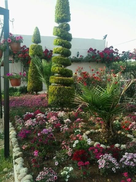 بيت ريفي فاخر للبيع في عجلون مع مزرعة - 3