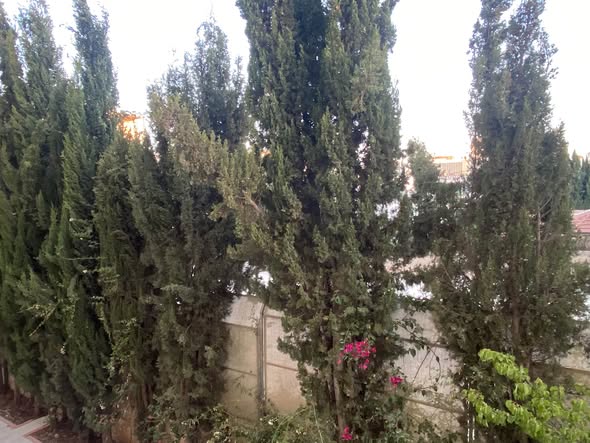 شقة فاخرة مجددة في خلدا للبيع - 5