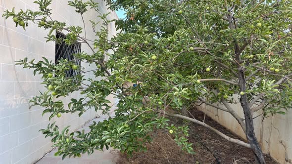 منزل مستقل للبيع في المامونية الغربية - مأدبا - 3