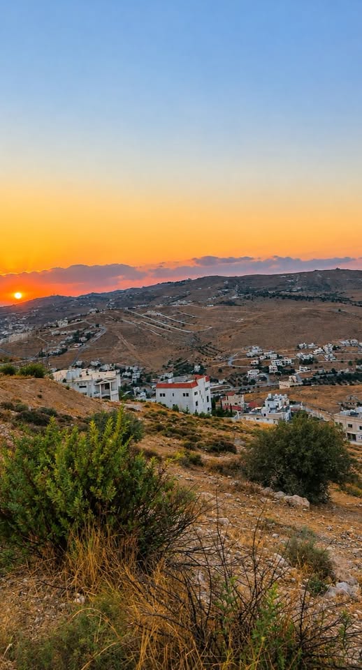 فرصة ذهبية لتملك أرض مميزة في بيرين