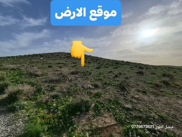 أرض زراعية استثمارية بإطلالة على البحر الميت - 2
