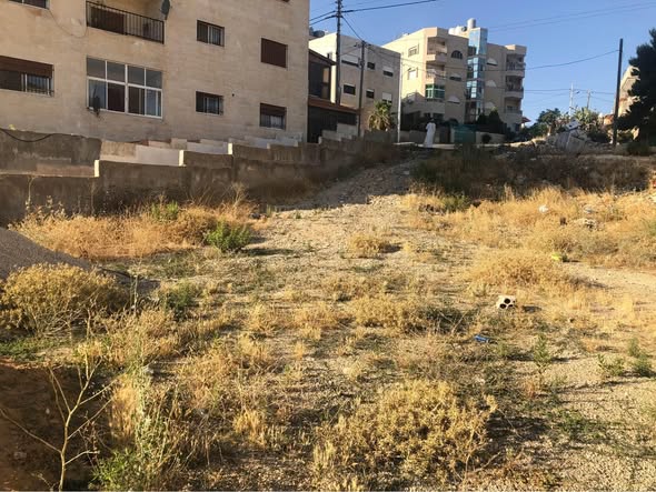 أرض فاخرة للبيع في السلط – إطلالة بانورامية وموقع استراتيجي - 3