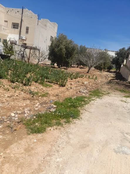 بيت طابقين للبيع في بلعما بسعر مغري - 3