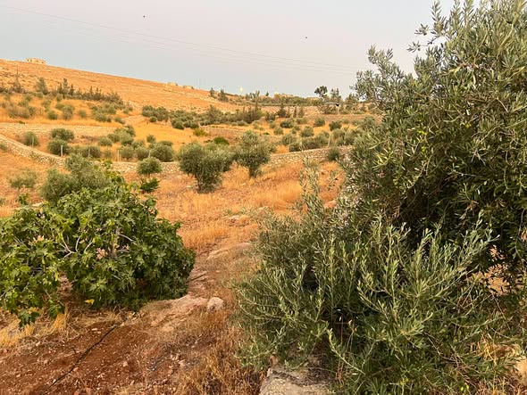 مزرعة فاخرة للبيع في موقع ريفي رائع - 5