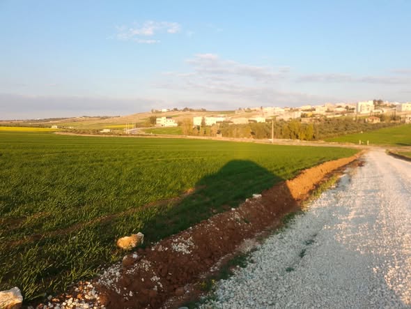 أرض سكنية مميزة في مادبا - 4