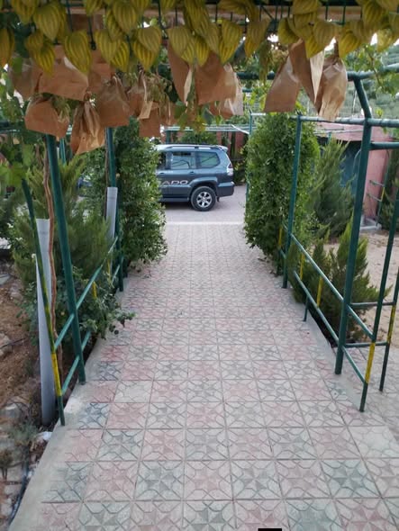 شاليه فاخر للبيع في بلعما مع مسبح خاص - 3