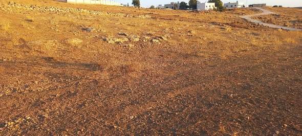 فرصة استثمارية: أرض 3 دونمات في عين والمعمرية بقسط مريح