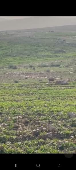 أرض مرتفعة للبيع في حيان المشرف - 3