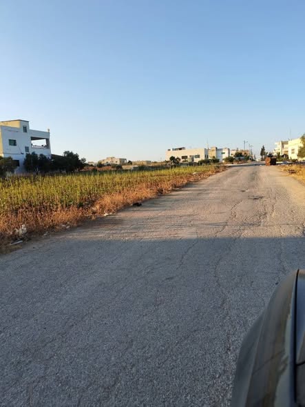 ارض استثمارية في المغير - حوض المغير - 2