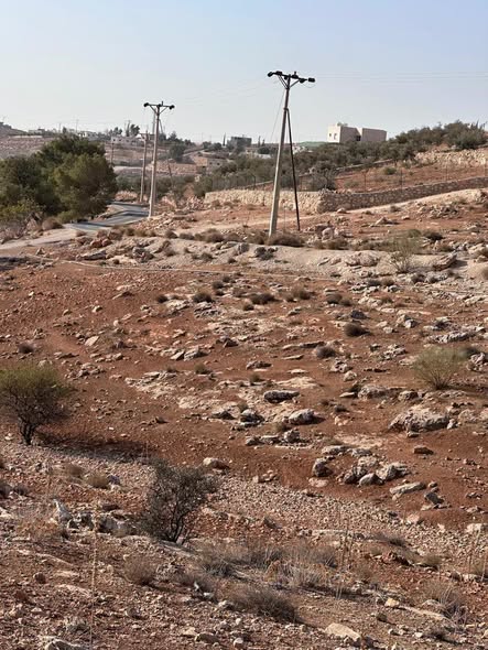 أرض زراعية فاخرة في دحل حميد للبيع - 3