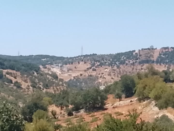 فرصة العمر: أرض للبيع في عجلون بإطلالة غربية