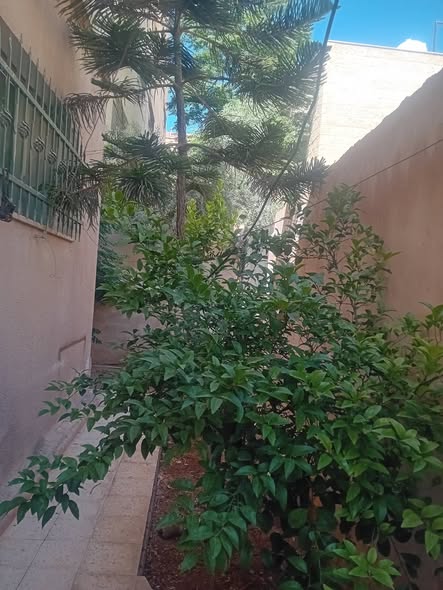 منزل طابقين للبيع المسعجل - الزرقاء الجديدة - 4