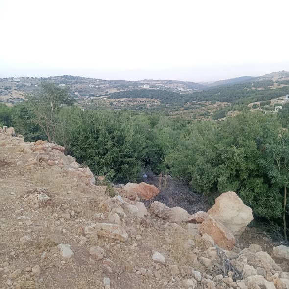 أرض استثمارية فاخرة في عجلون - وادي عبين - 2