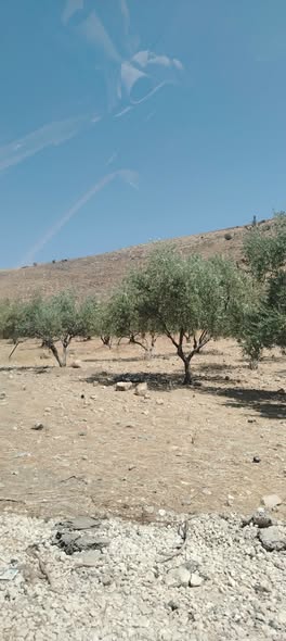 أرض زراعية استثمارية في القنية