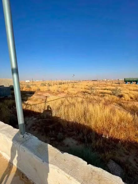 فرصة استثمارية: أرض مع بيت ريفي ومسبح في الزيتونة - 3